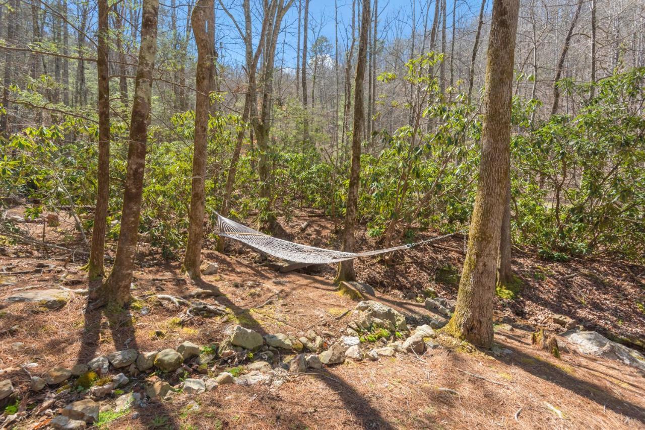 セバービル Bear Paw Trailヴィラ エクステリア 写真